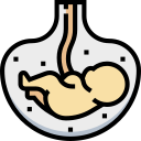 Obstetrícia e Ginecologia