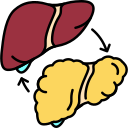 Cirurgia e Transplante de Fígado